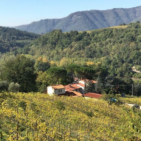 Апартаменты Il Poggiolo Ai Casini Scopeti Экстерьер фото